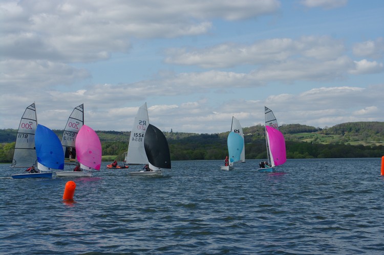 RS200 SEAS Bough Beech RS200 SEAS Bough Beech